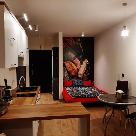 Apartament Pod Szyndzielnia, Debowiec Bielsko-Biała Extérieur photo