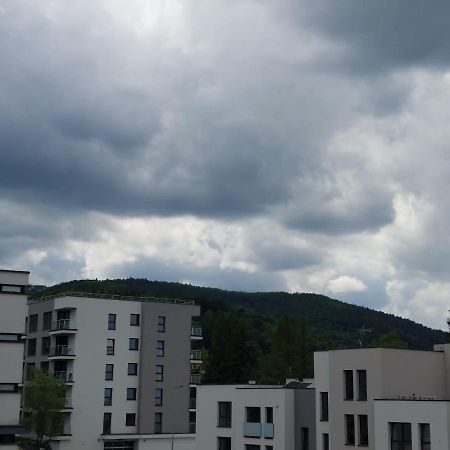 Apartament Pod Szyndzielnia, Debowiec Bielsko-Biała Extérieur photo
