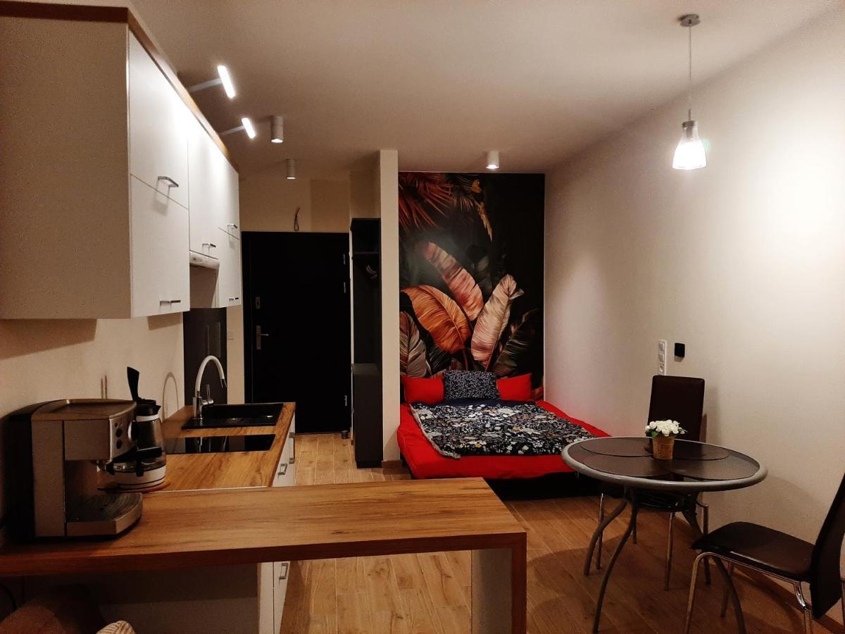 Apartament Pod Szyndzielnia, Debowiec Bielsko-Biała Extérieur photo