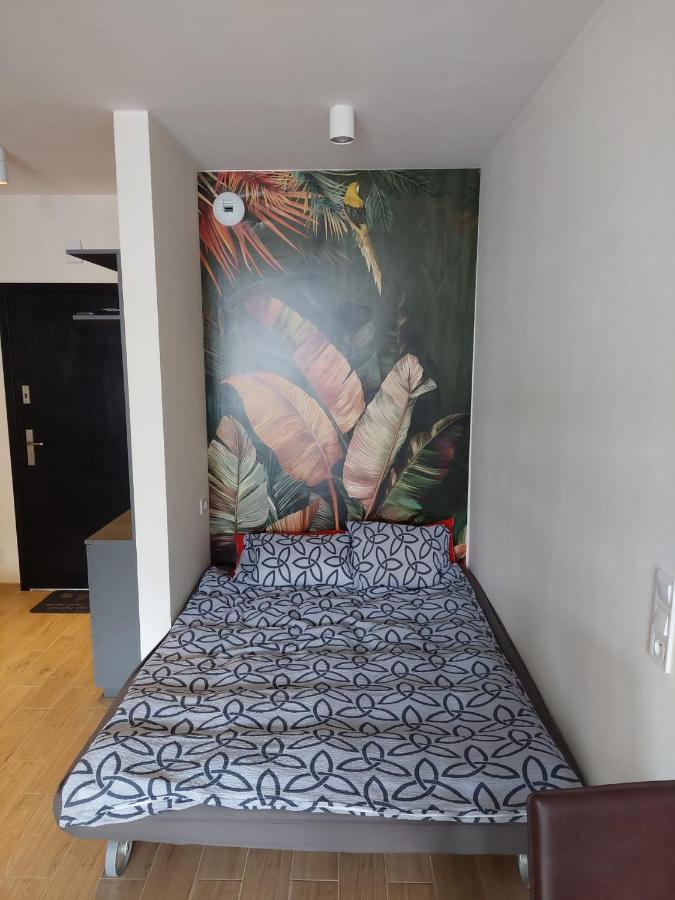 Apartament Pod Szyndzielnia, Debowiec Bielsko-Biała Extérieur photo